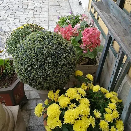 Le Chez Marile *